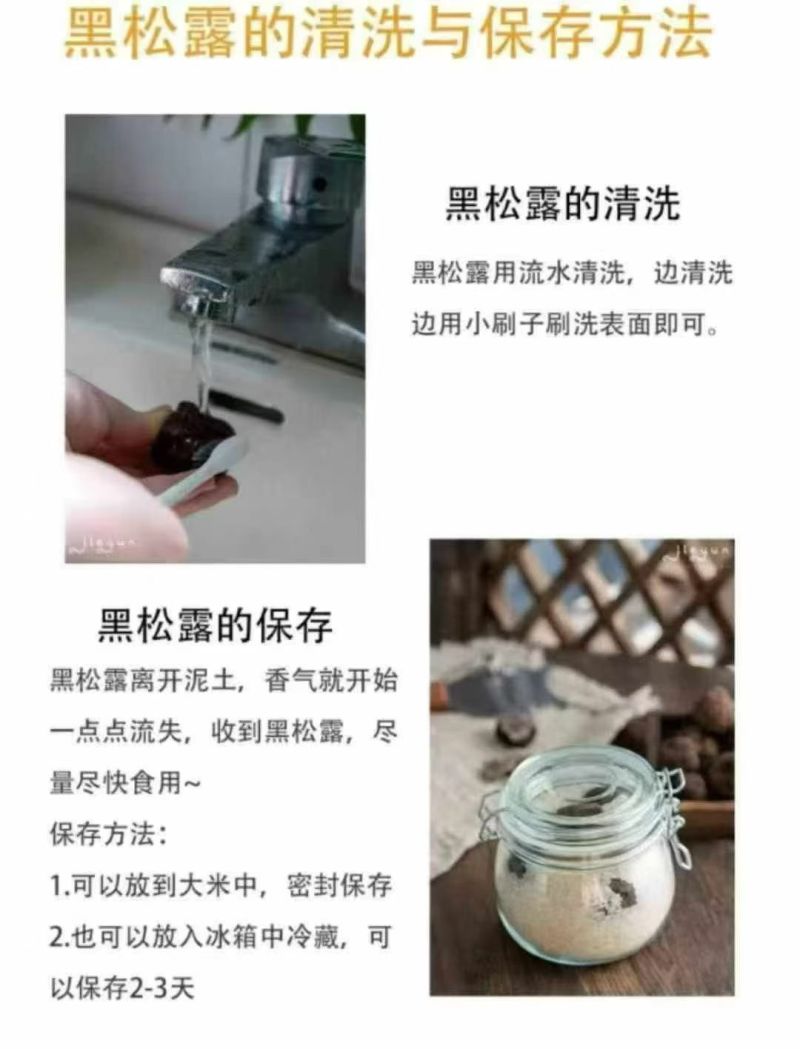 批发/一件代发新鲜黑松露食用菌刺身高端食材营养丰富