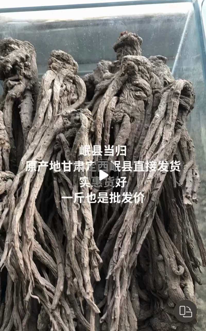当归，产地直发，量大价优，保质保量，欢迎各位咨询