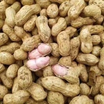 鲜花生产地直供大量现货品质保证量大价优全国发货
