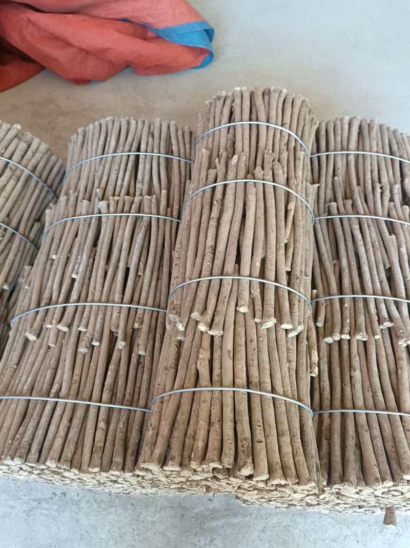 甘肃岷县正北黄芪大片，无硫足干，断面菊花心清晰，农户产