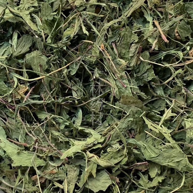 蒲公英【包邮】三斤起发货可批量可零售量大从优