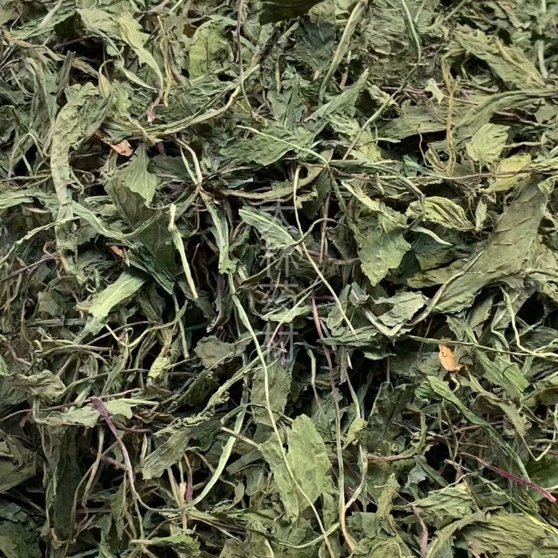 蒲公英【包邮】三斤起发货可批量可零售量大从优
