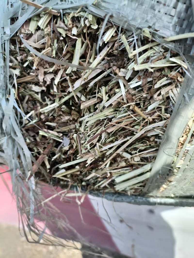 花生秧