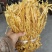 麻竹笋笋花