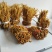 麻竹笋笋花