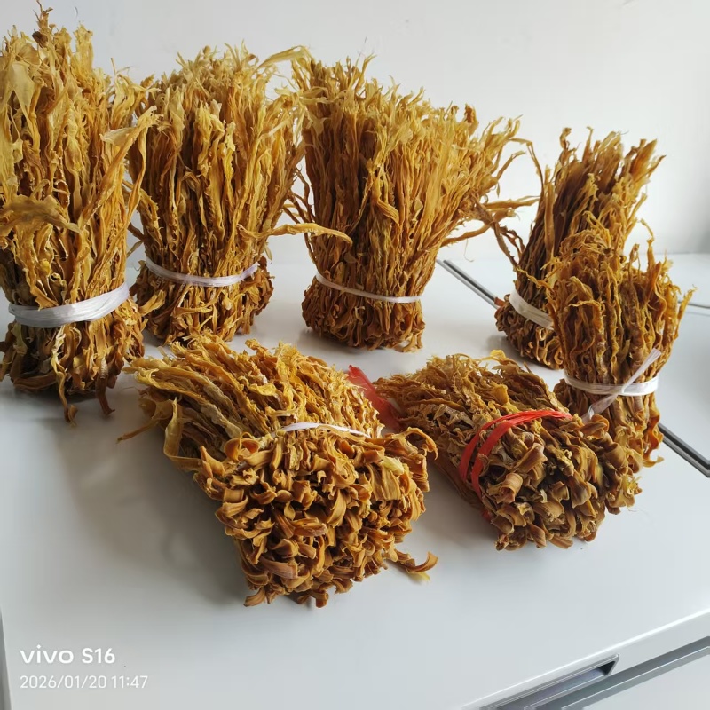 麻竹笋笋花