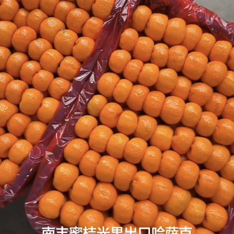 南丰县蜜橘/江西蜜橘/品质保证诚信经营对接批发市场超市等