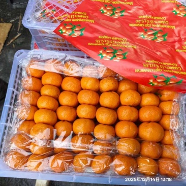 南丰县南丰蜜橘/随行就市，现供应高次通货南丰蜜橘甜