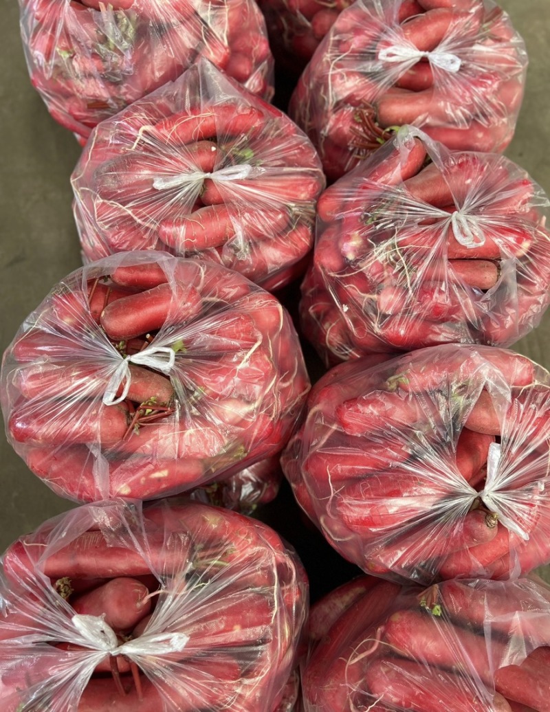 红皮水萝卜大量上市对接各大市场商超平台欢迎致电咨询