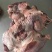 羊后腿包肉，量大优惠，全国发货