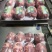 马式羊后腿包肉，清真标识，纯羊肉，全国发货