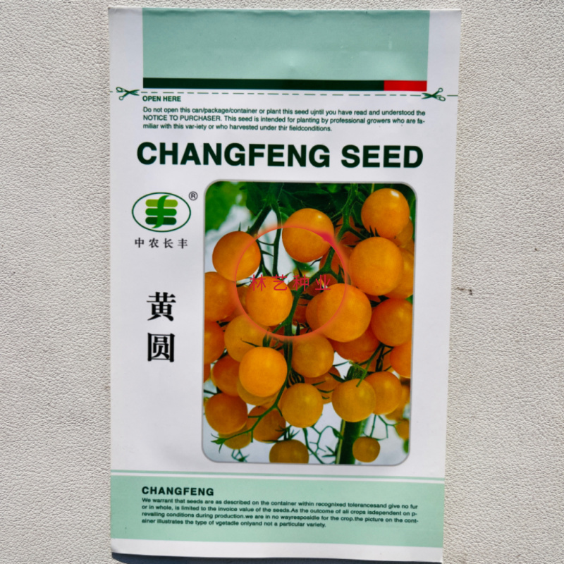 黄圆小番茄种子早熟黄皮西红柿种籽水果樱桃厚肉春秋播种