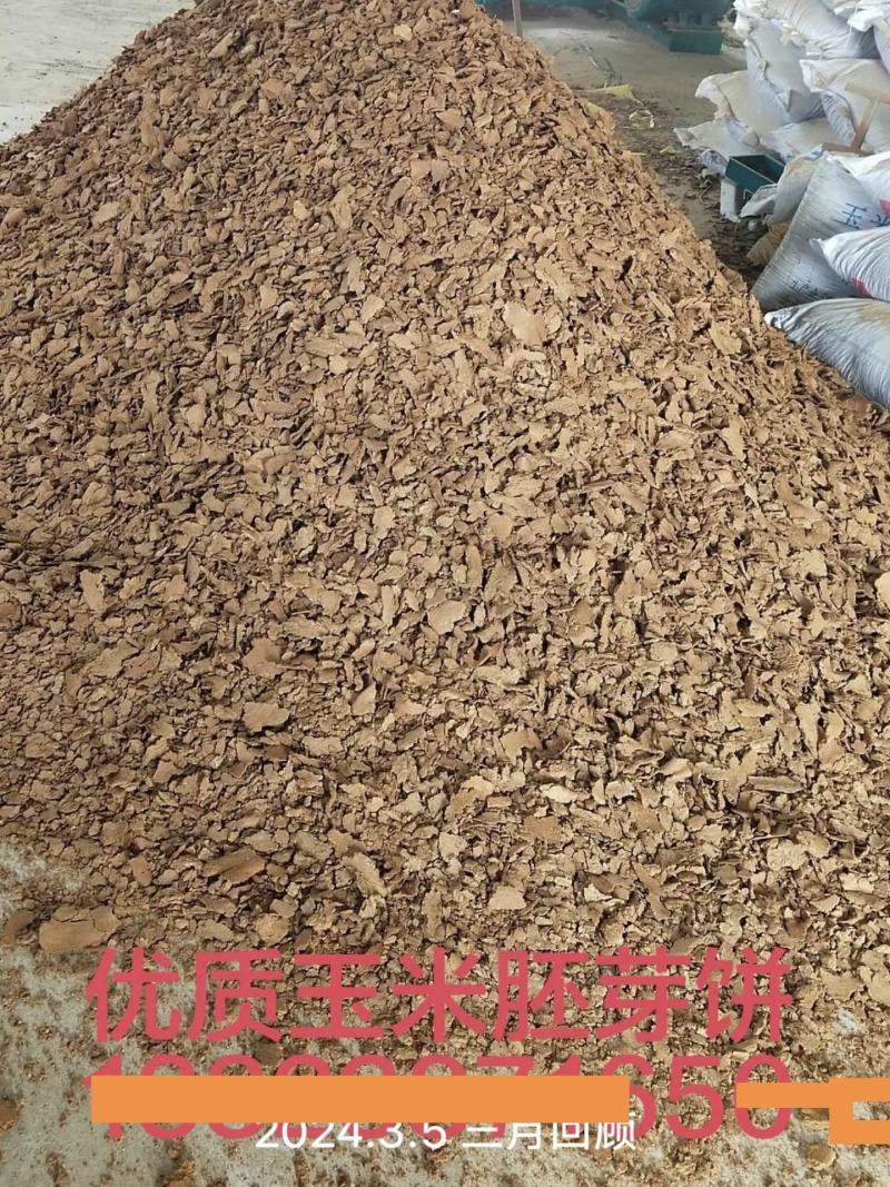优质玉米胚芽饼