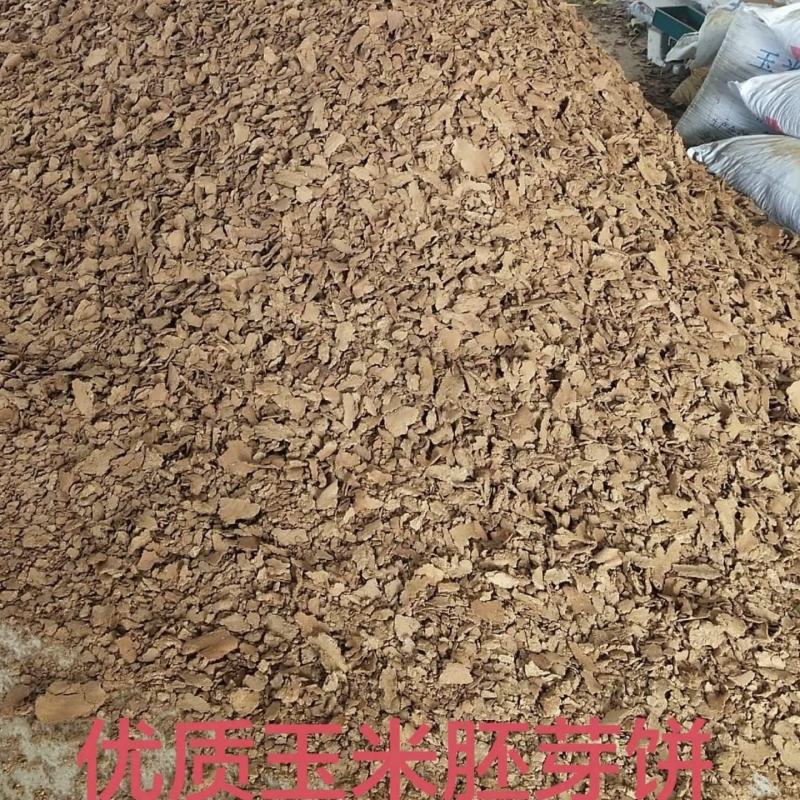 优质玉米胚芽饼