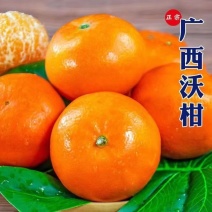 广西武鸣沃柑一件代发产地直发