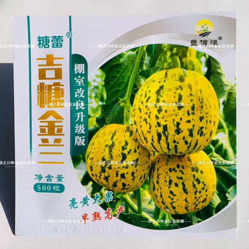 亮黄大果杂交八里香甜瓜种子升级吉糖金兰甜瓜种籽高糖香瓜