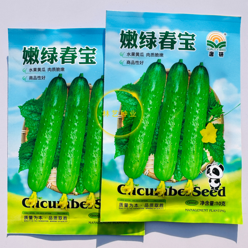 嫩绿春宝黄瓜种子绿皮绿瓤杂交一代水果型黄瓜节节有瓜清香细