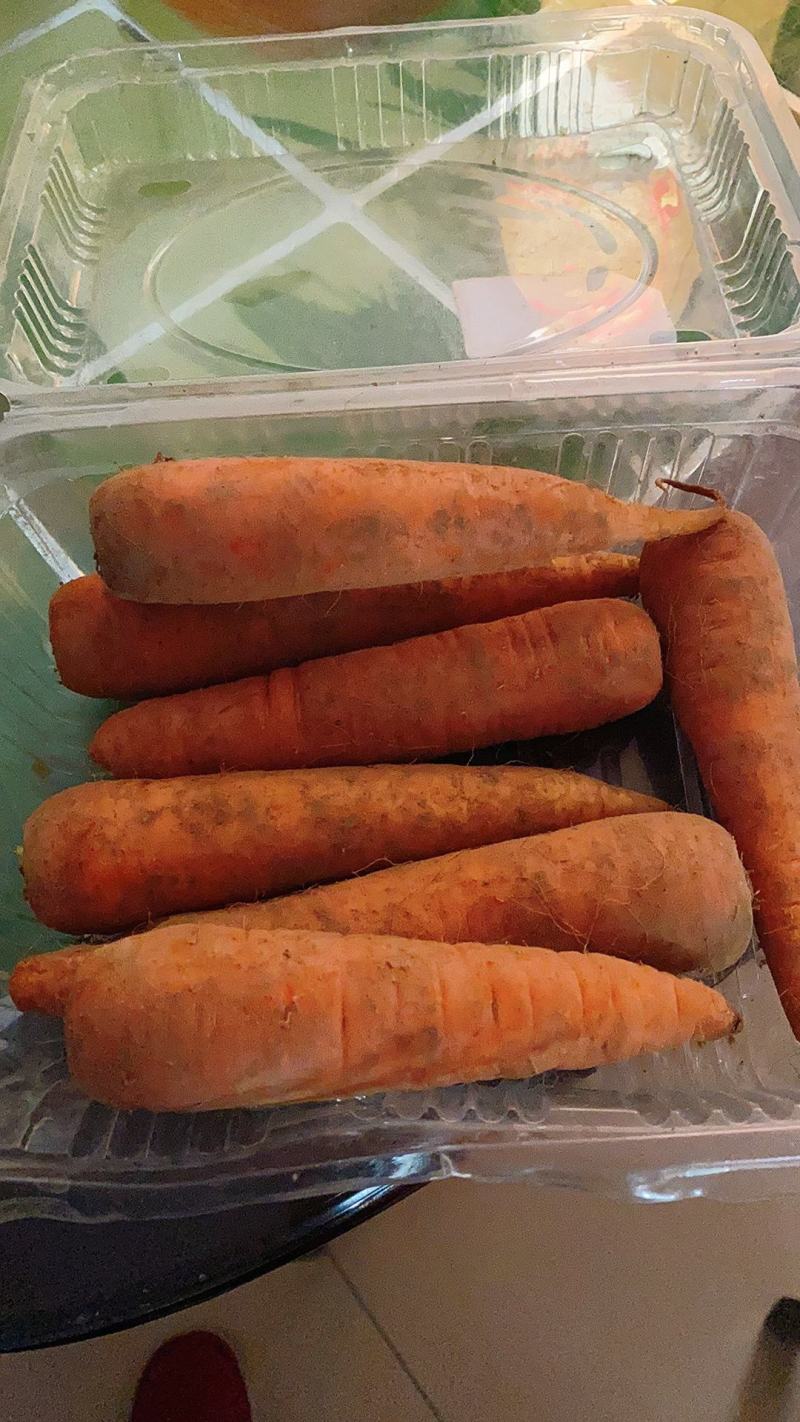 胡萝卜新鲜沙地现挖红心带泥，胡萝卜新鲜蔬菜胡萝卜新