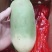 白萝卜，现挖现卖，保鲜发货，包邮到家！按时发货！