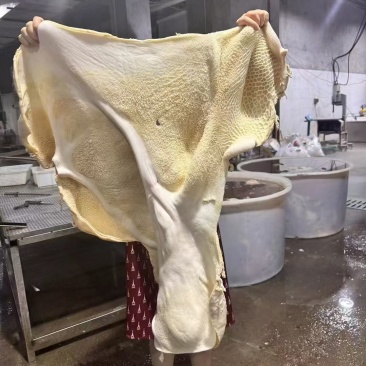 飞水牛肚