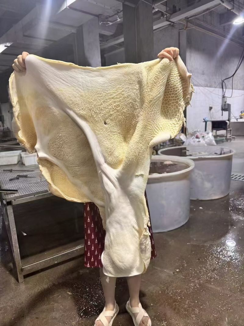 飞水牛肚