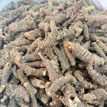 羌活个子精品选货到底产区批发零售包邮
