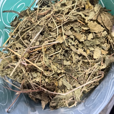 三七叶大货供应零售批发货源充足