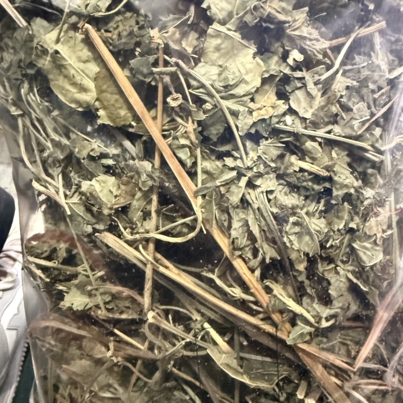 三七叶大货供应零售批发货源充足