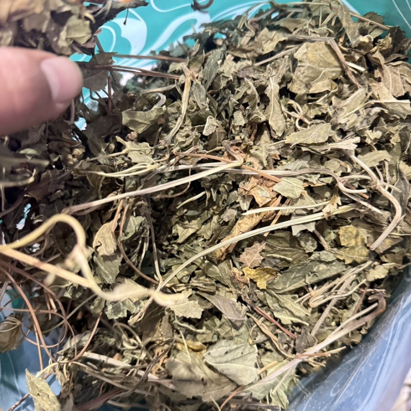 三七叶大货供应零售批发货源充足