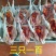 白条鸡
