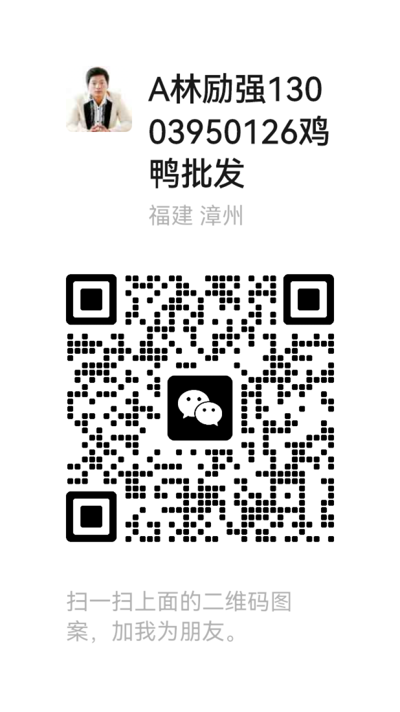 珍珠鸡