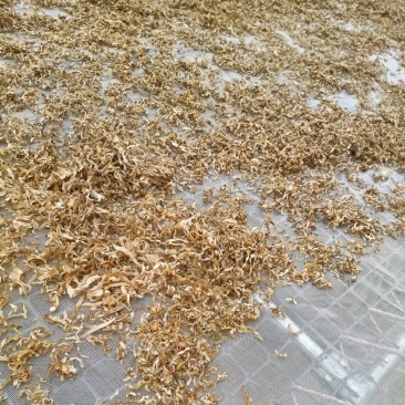 白木耳丝自产自销现货批发零售白木耳丝一手货源白木耳丝价低