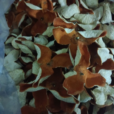 广西浦北冬后大红皮茶枝柑陈皮