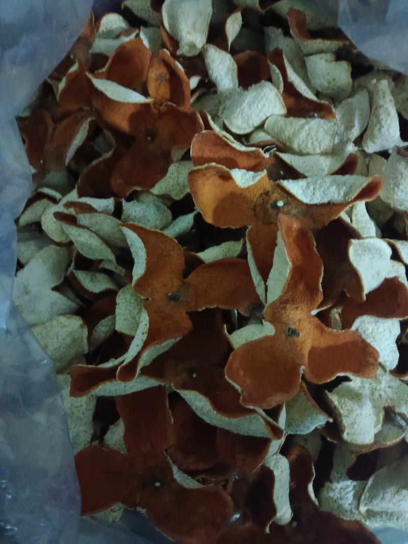 广西浦北冬后大红皮茶枝柑陈皮