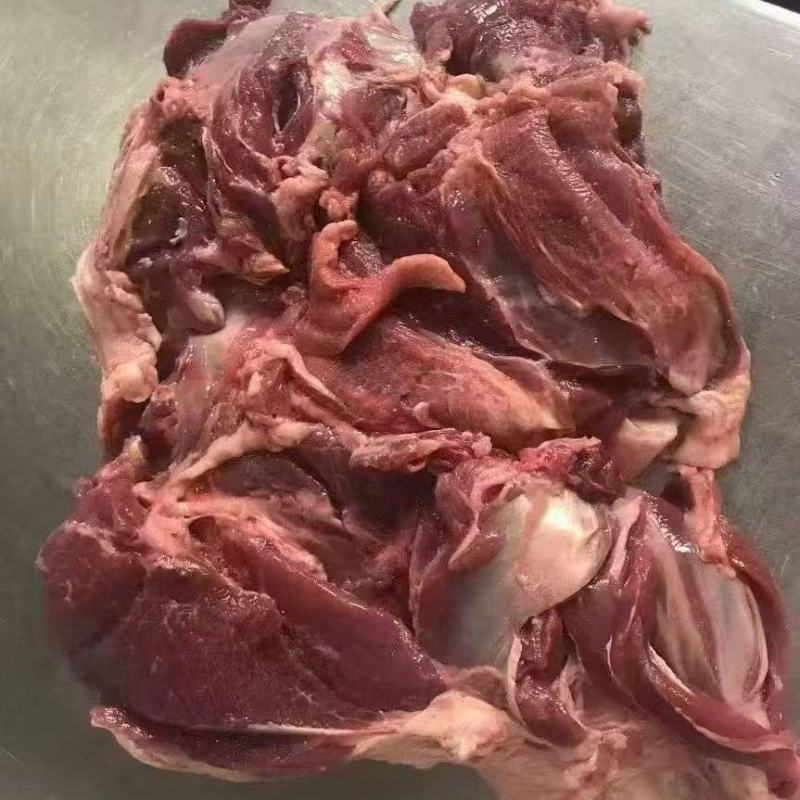 马氏后腿包