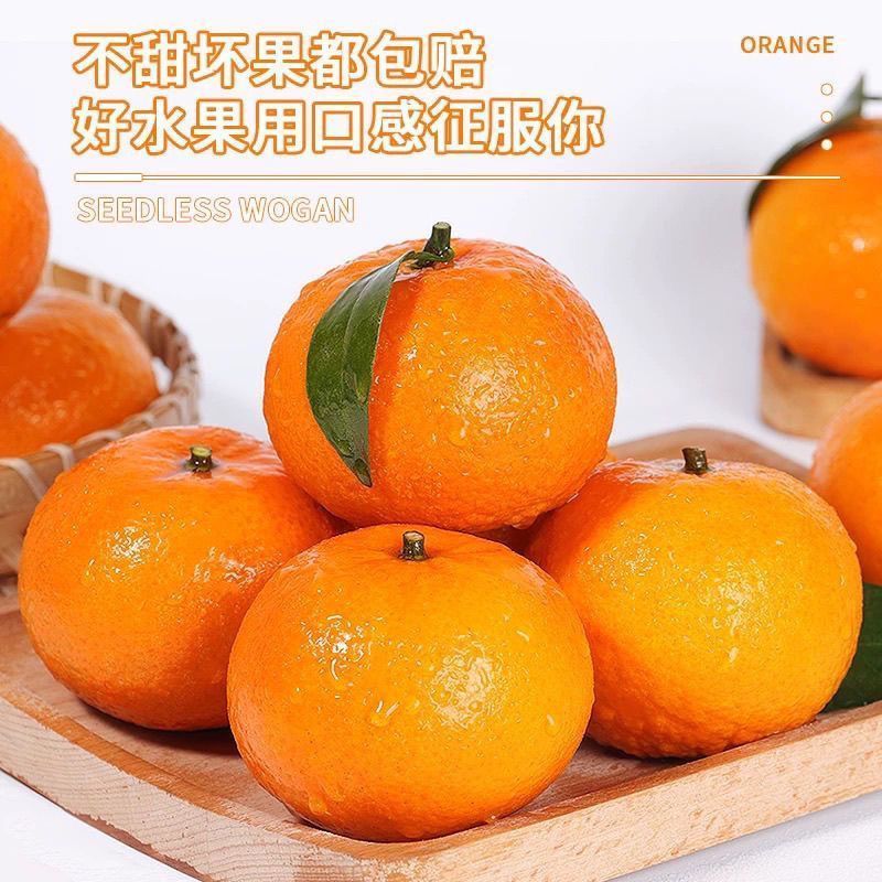 【便宜】正宗高山沃柑新鲜水果孕妇应季一整箱批发大果柑橘砂