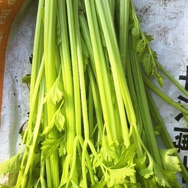 芹菜