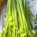 芹菜