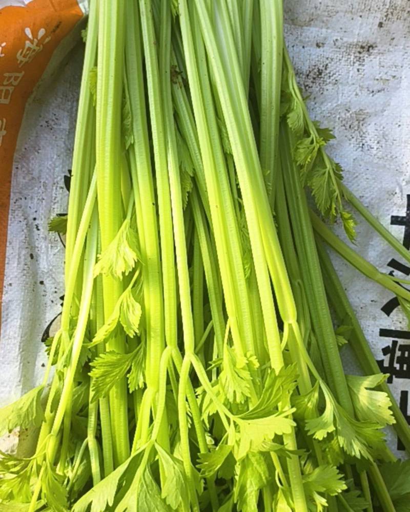芹菜