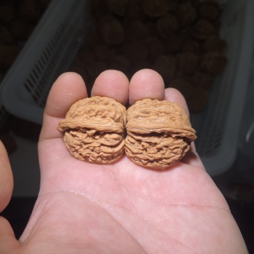 文玩核桃产地批发零售，支持平台担保交易，有售后