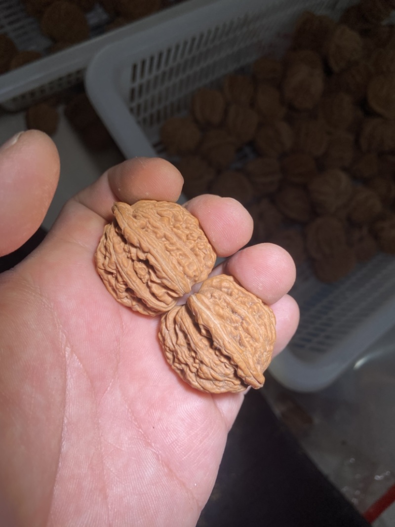 文玩核桃产地批发零售，支持平台担保交易，有售后