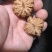 文玩核桃产地批发零售，支持平台担保交易，有售后