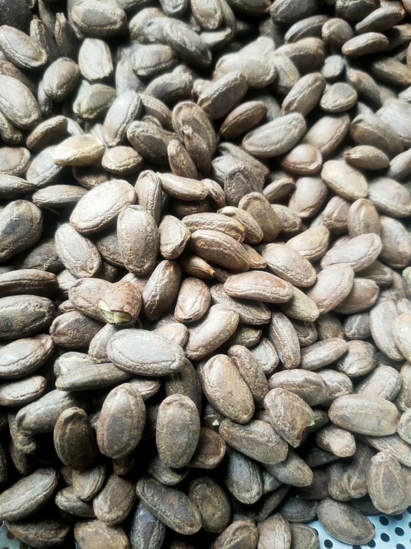 吊瓜子熟货散装颗粒饱满有多种口味