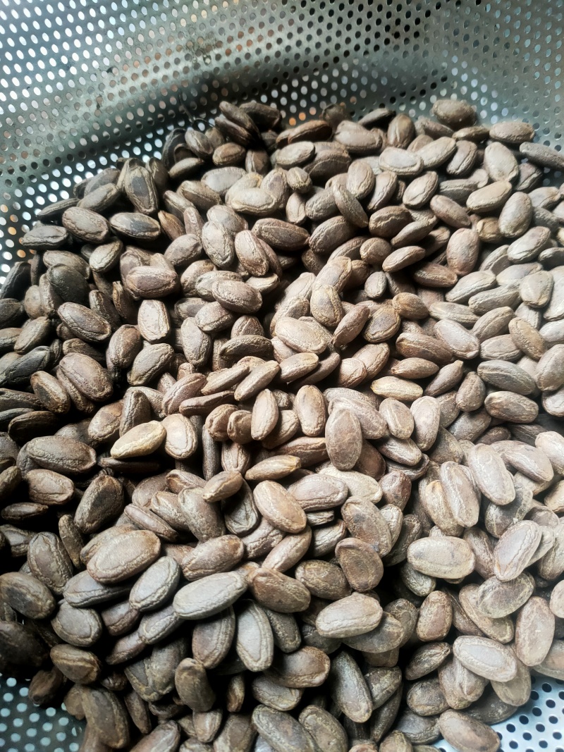 吊瓜子熟货散装颗粒饱满有多种口味