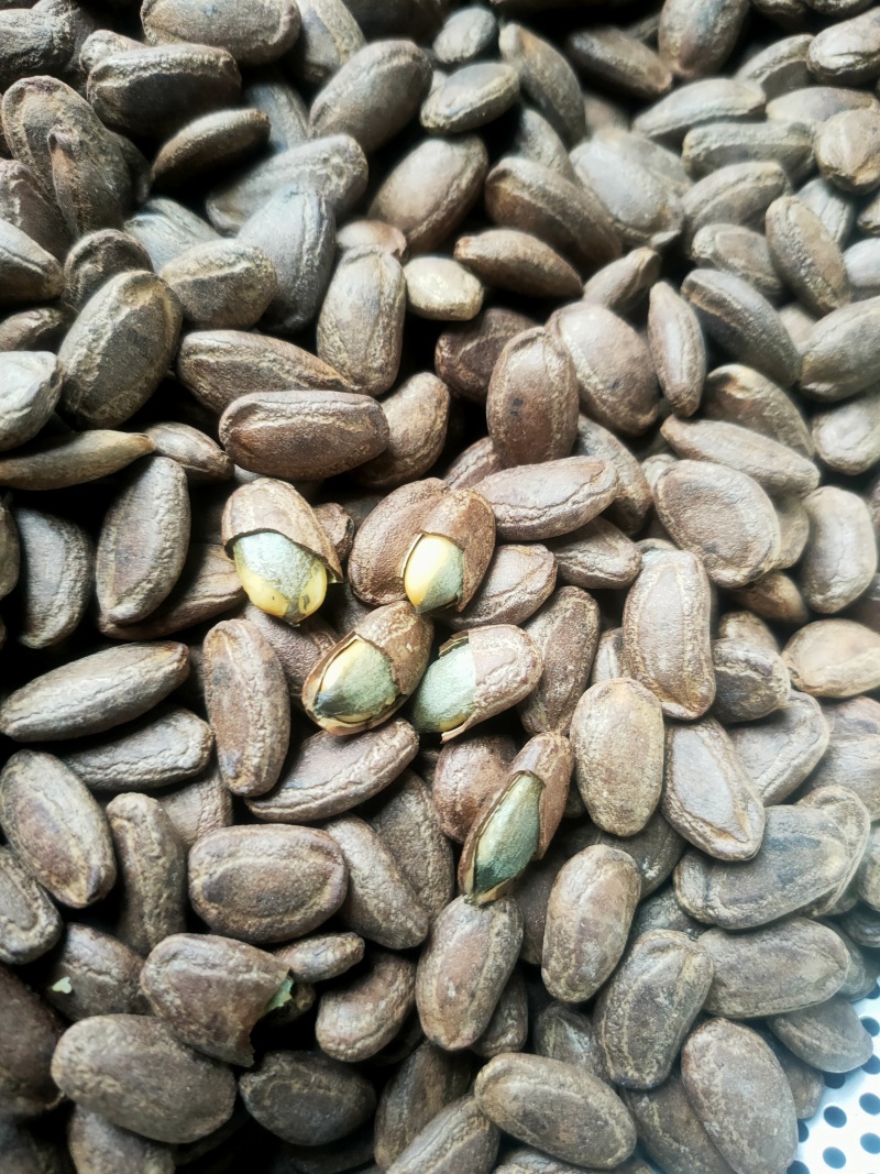吊瓜子熟货散装颗粒饱满有多种口味