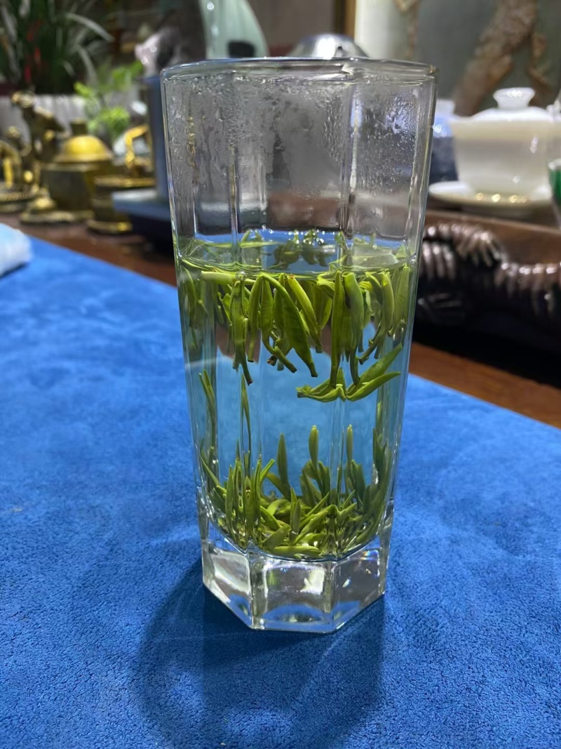 贵州省凤冈县茶