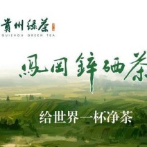 贵州省凤冈县茶