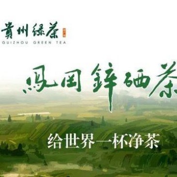 贵州省凤冈县茶
