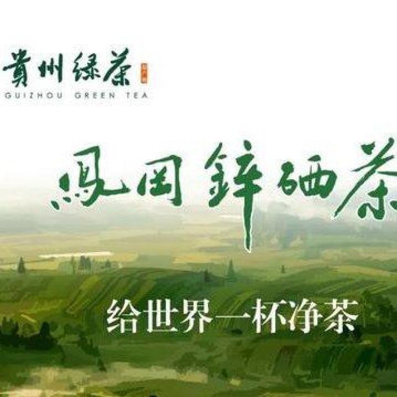 贵州省凤冈县茶
