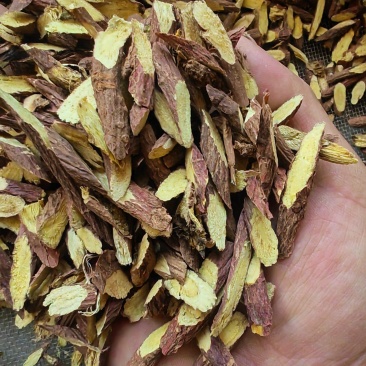 多年生野生甘草片，足干无硫纯野生，量大从优，产地批发